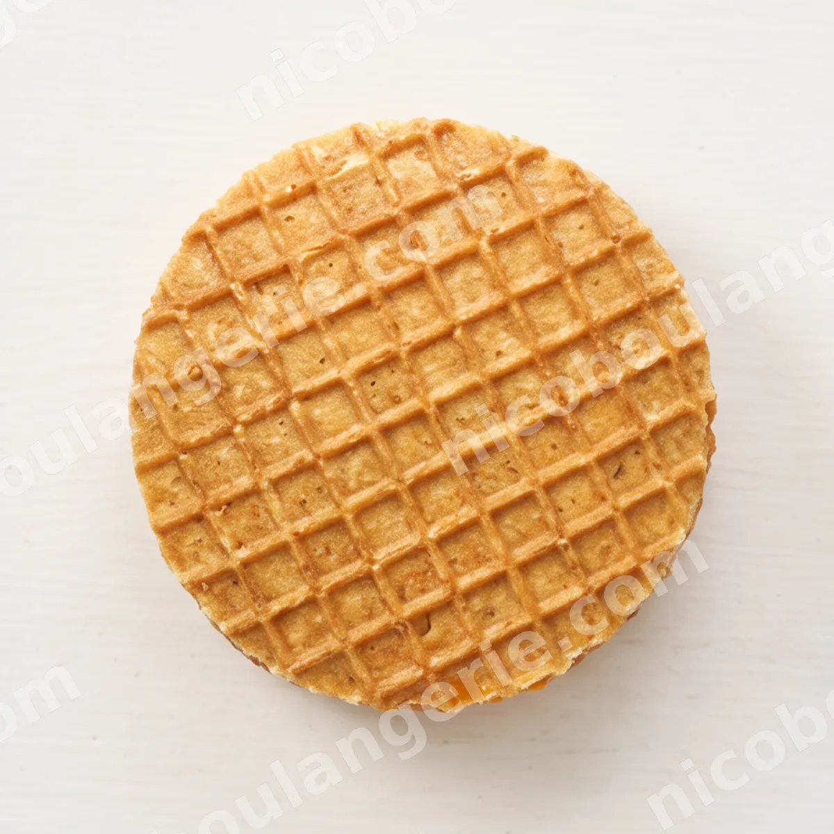 product_104_6acc872c0cb5c.jpg