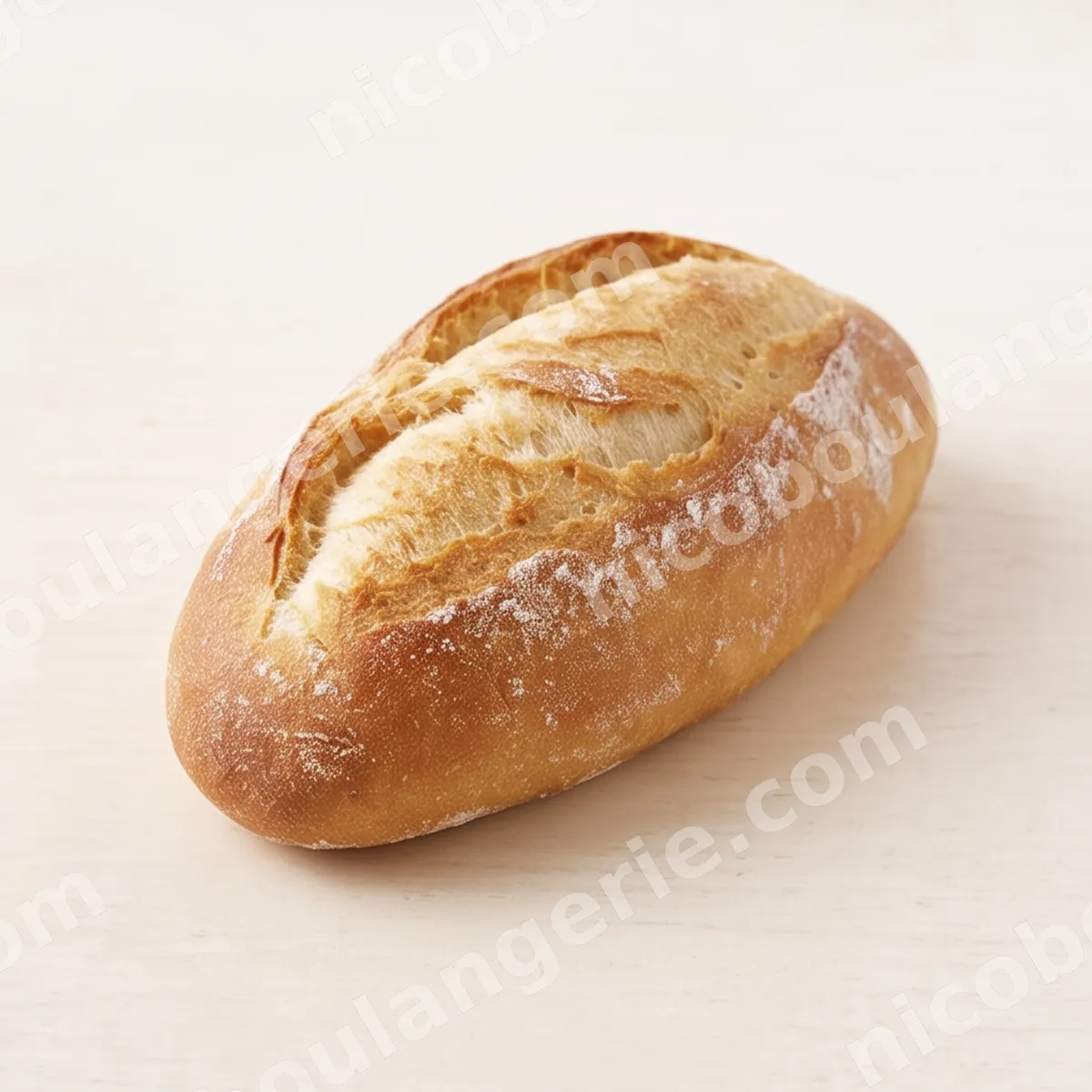 product_14_6acb73e7a9cf5.jpg