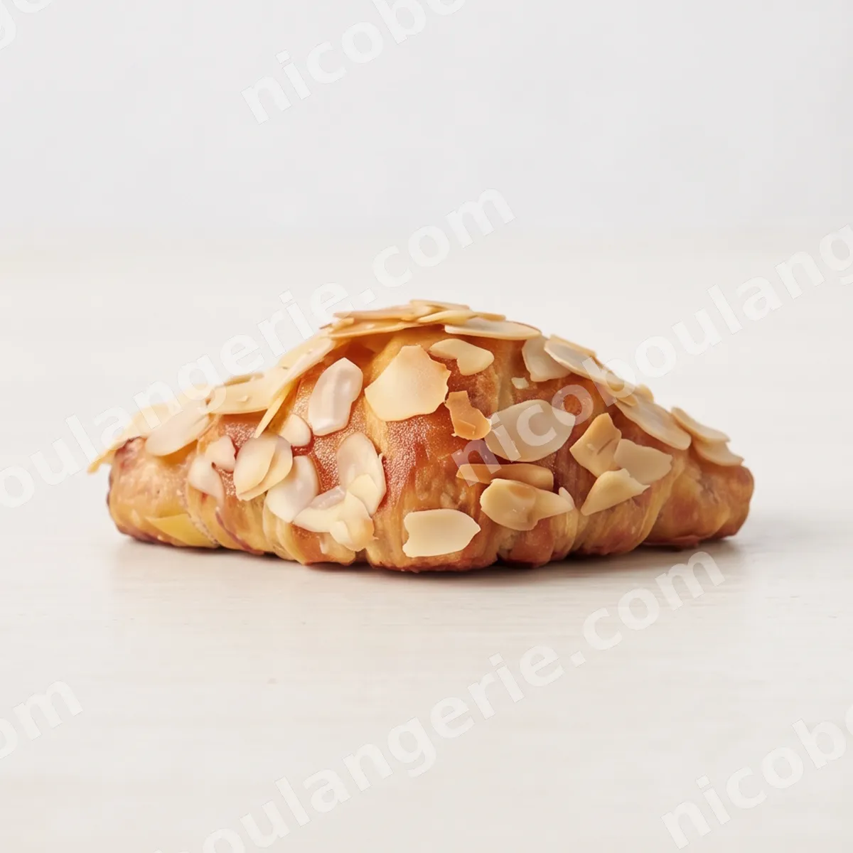 product_152_6acb7e5ca3d7e.jpg