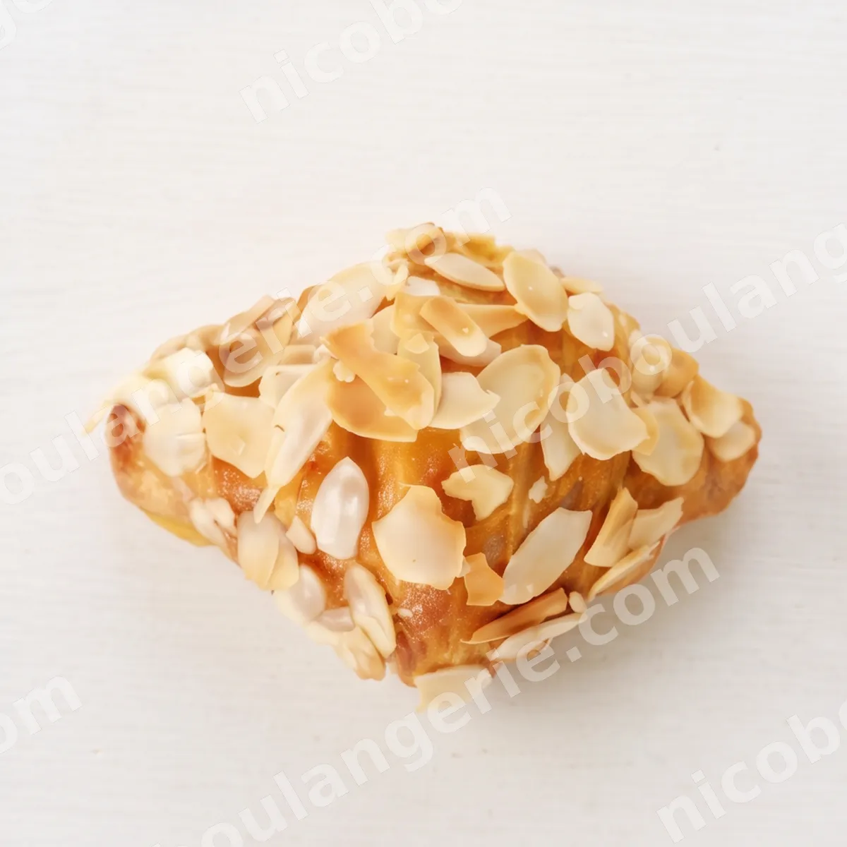 product_152_6acb7e5ca4c51.jpg