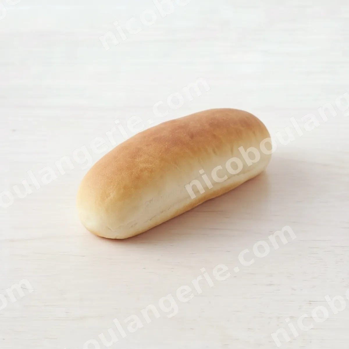 product_179_6ad347513a84e.jpg