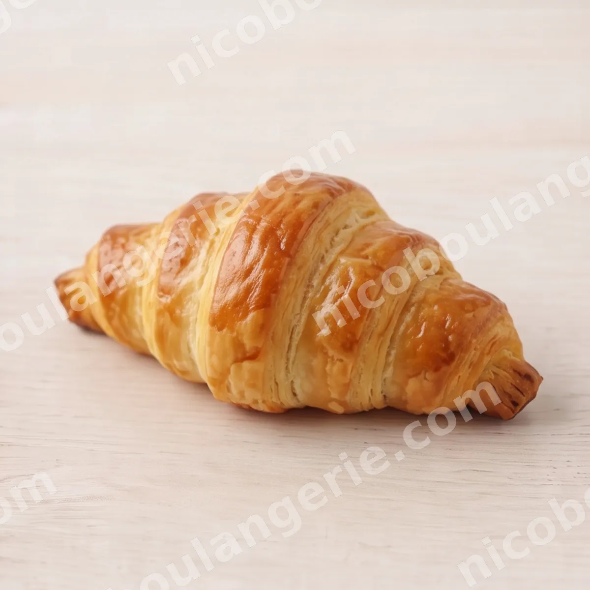 product_182_6ad09f614b2aa.jpg