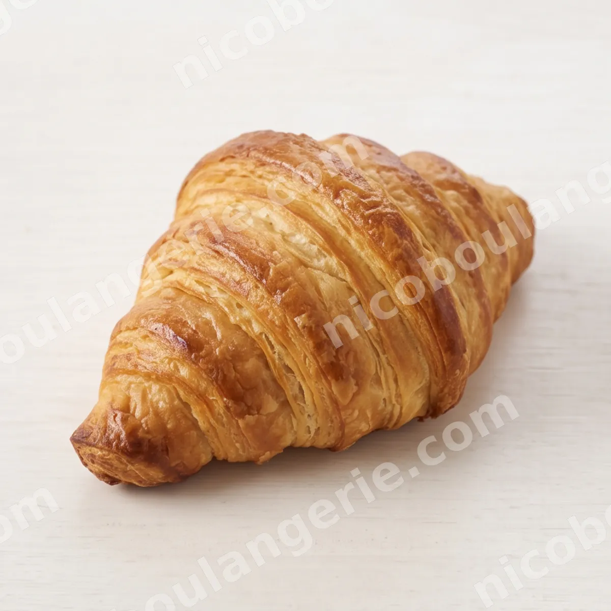 product_198_6ad0a2e229538.jpg