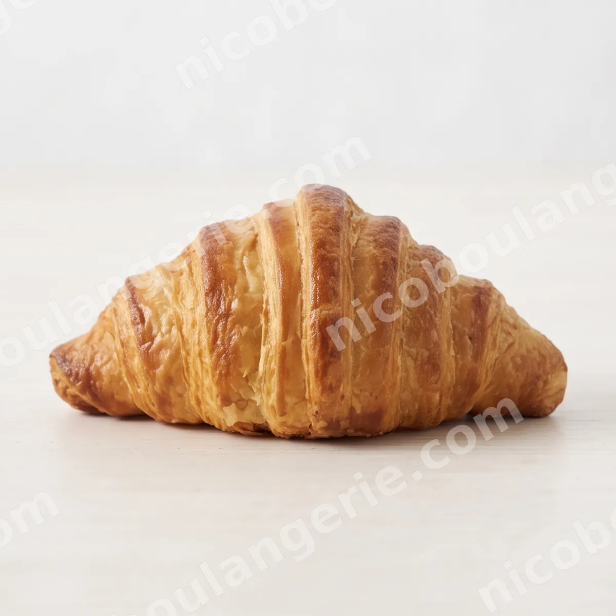 product_198_6ad0a2e310fd2.jpg