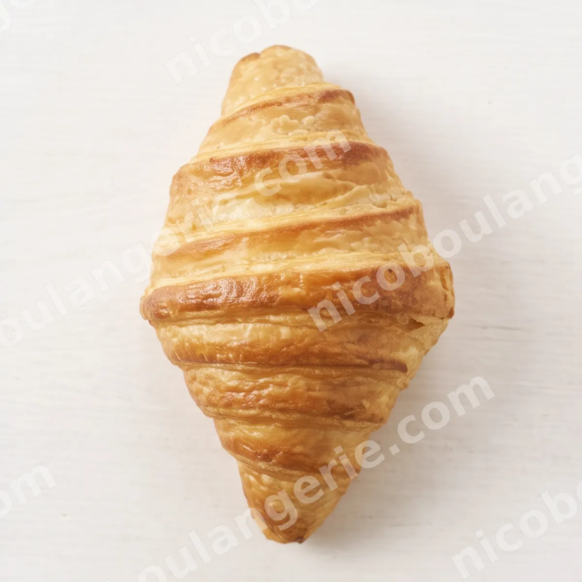 product_198_6ad0a2e410f0c.jpg