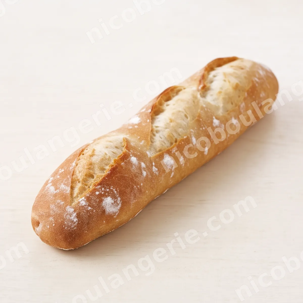 product_1_6acb740eab539.jpg