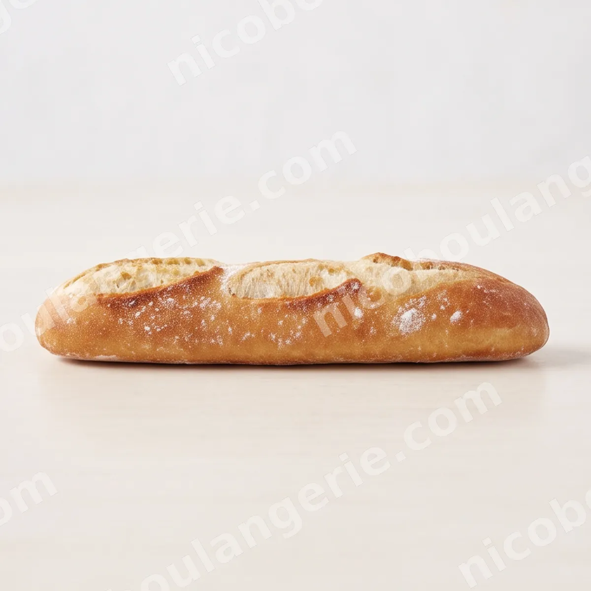 product_1_6acb740eac45b.jpg