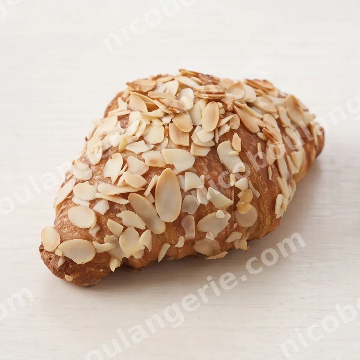 product_222_6acc619f09db6.jpg