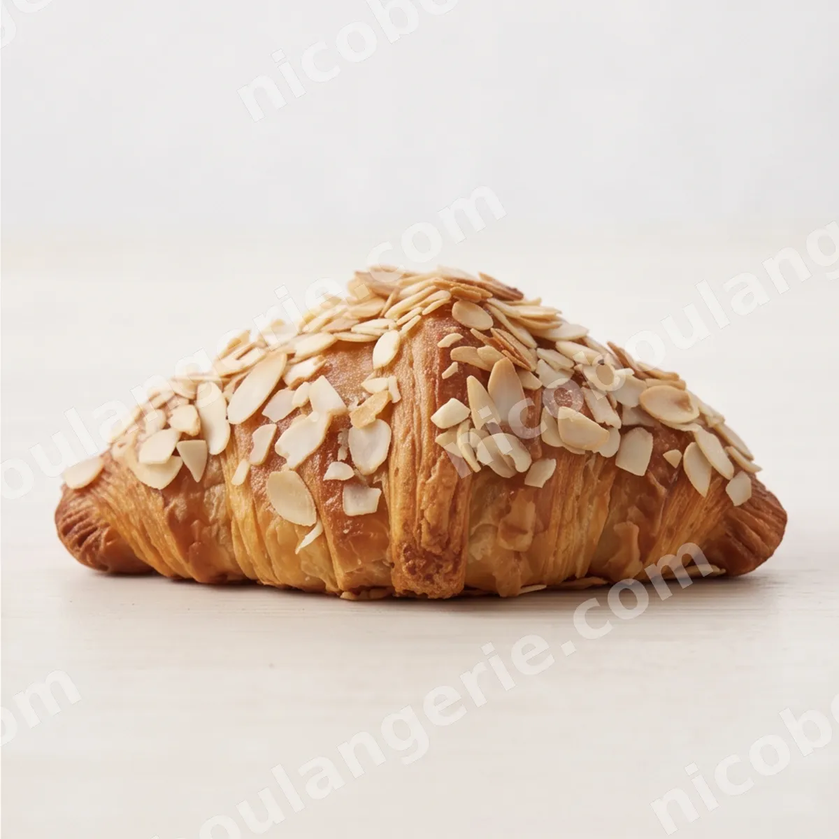 product_222_6acc619f48f13.jpg