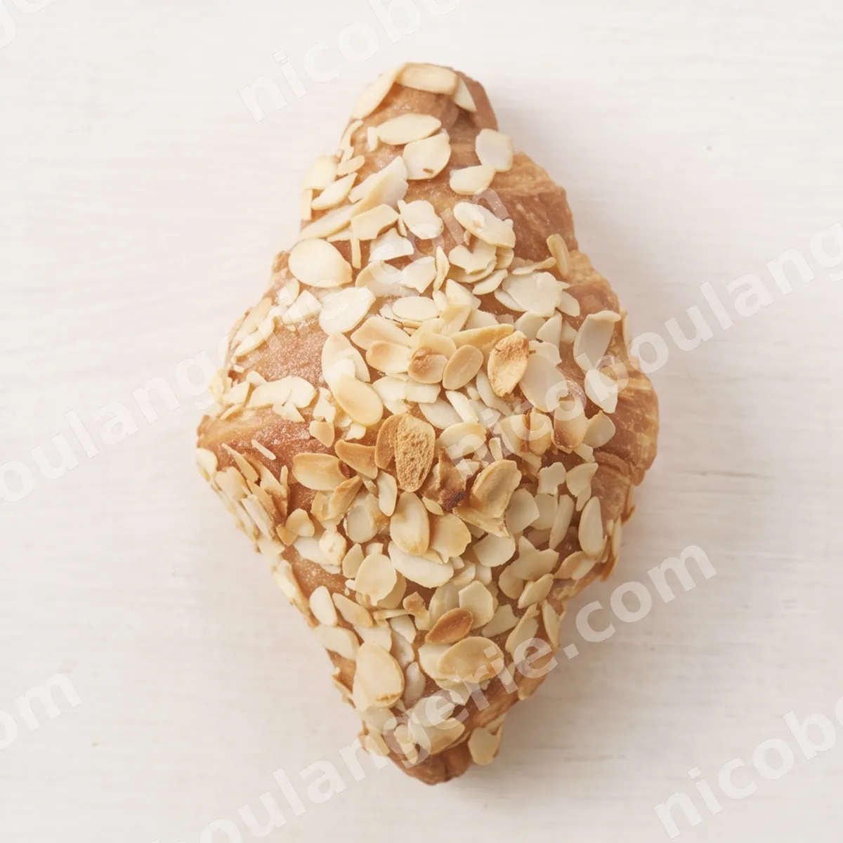 product_222_6acc619f87ebf.jpg