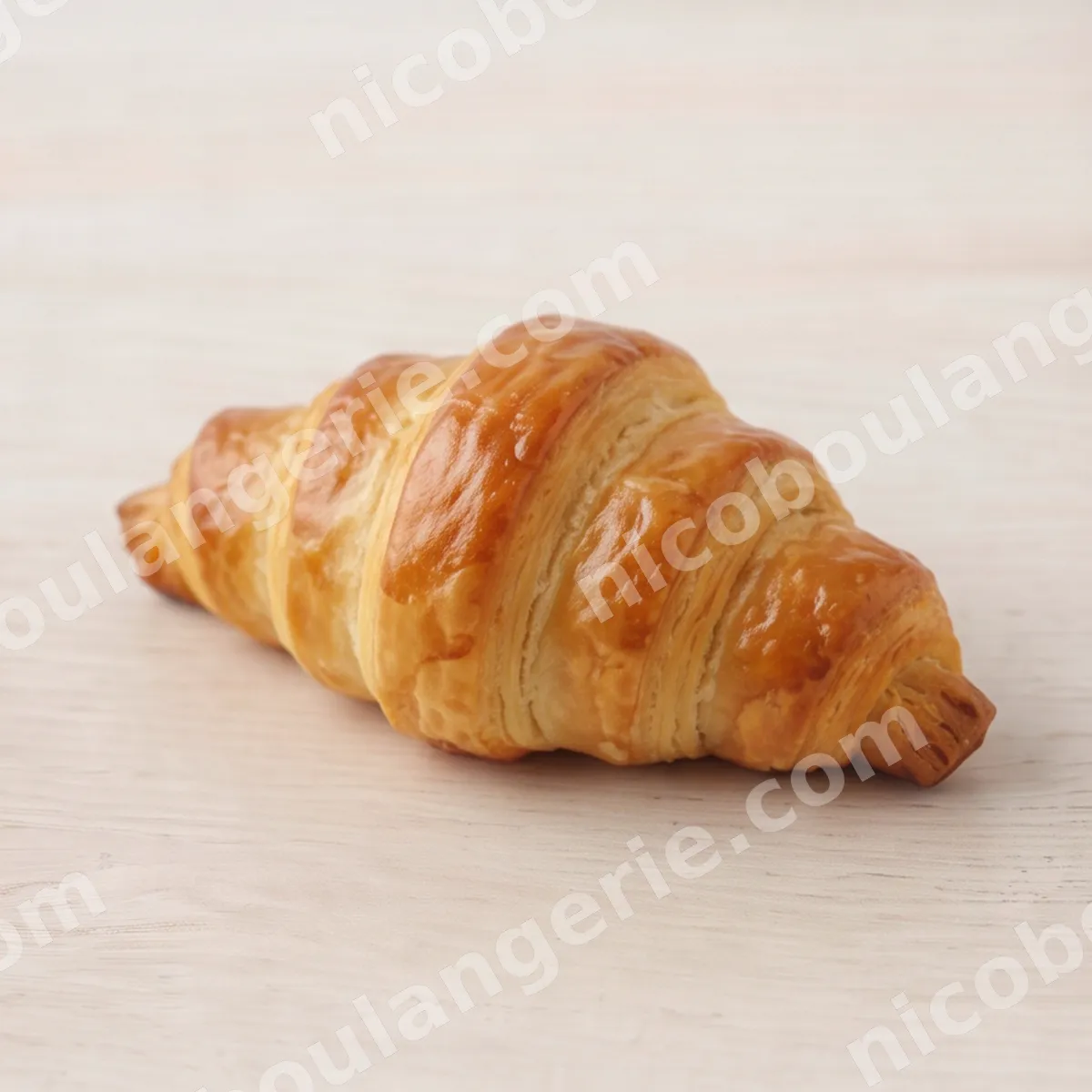 product_245_6ad0a1656737d.jpg