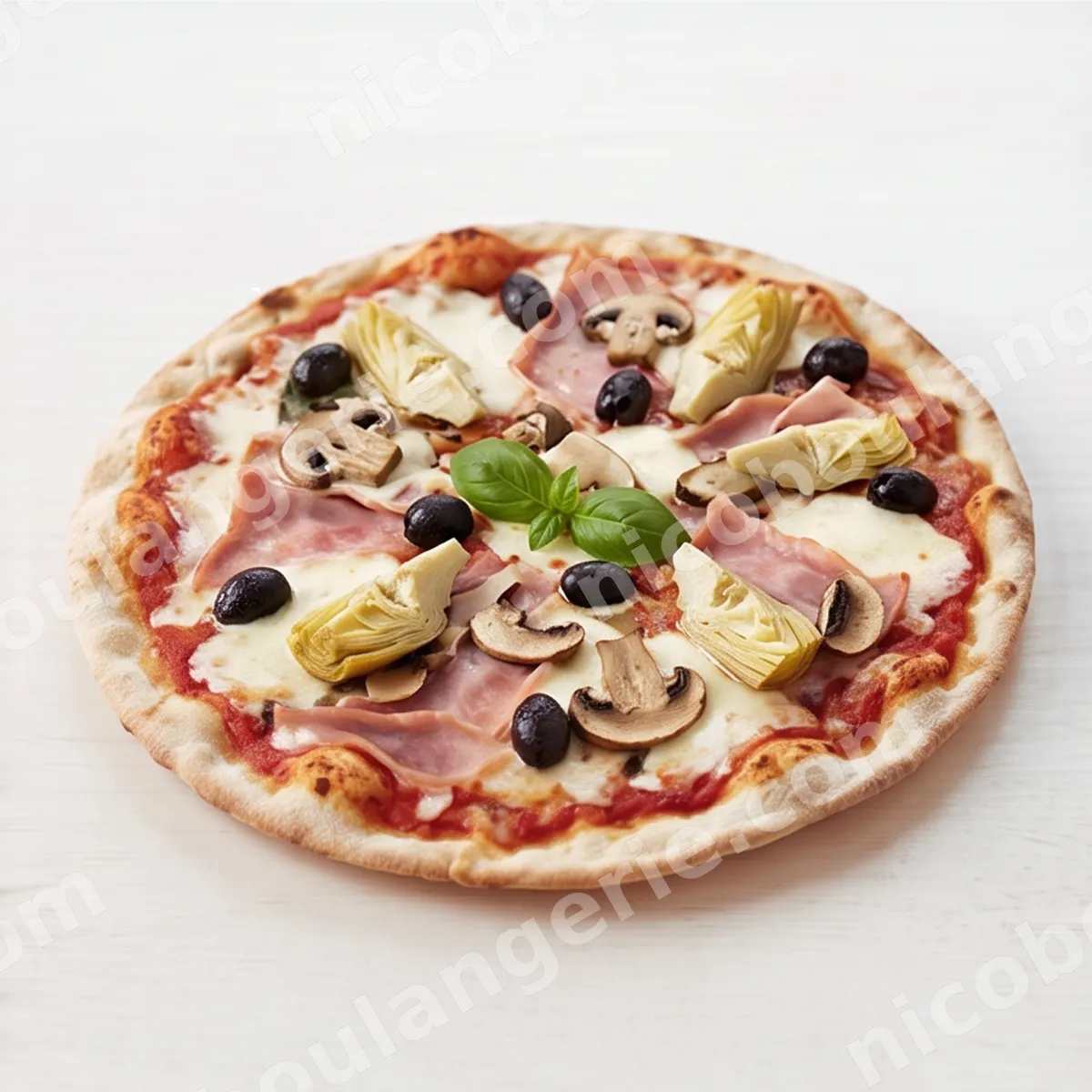 product_348_6ad5dc3e7e47b.jpg
