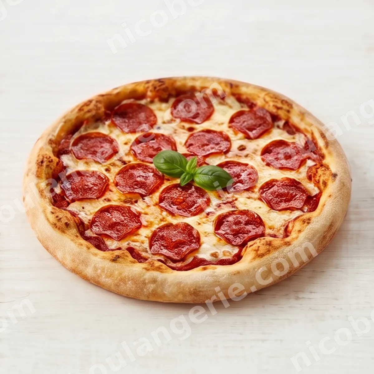 product_349_6ad5f9d0322be.jpg