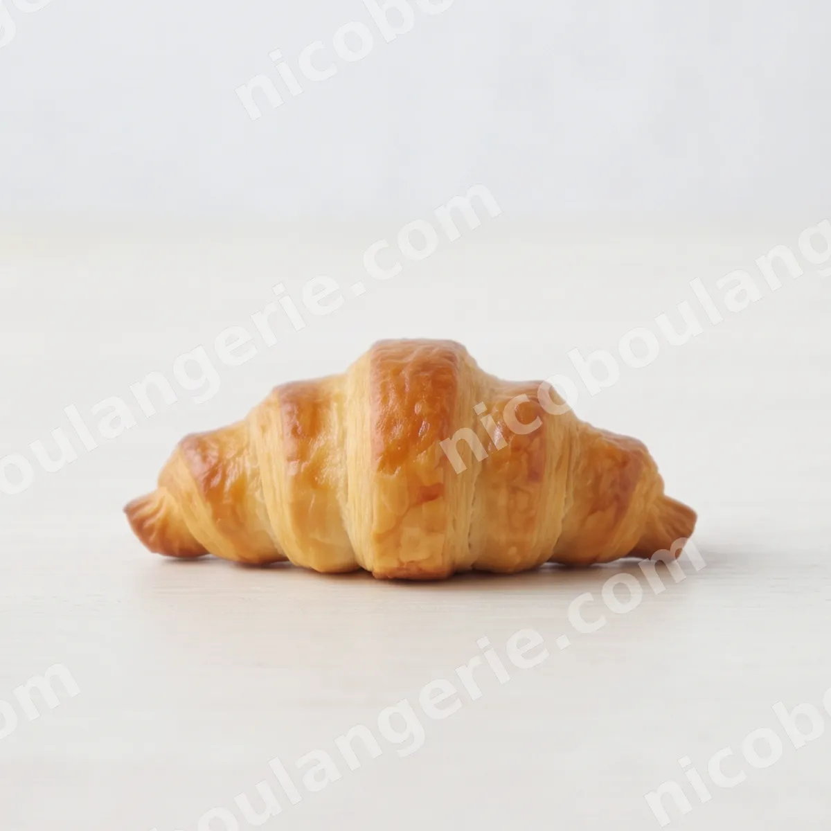 product_37_6ad0a313d37f0.jpg