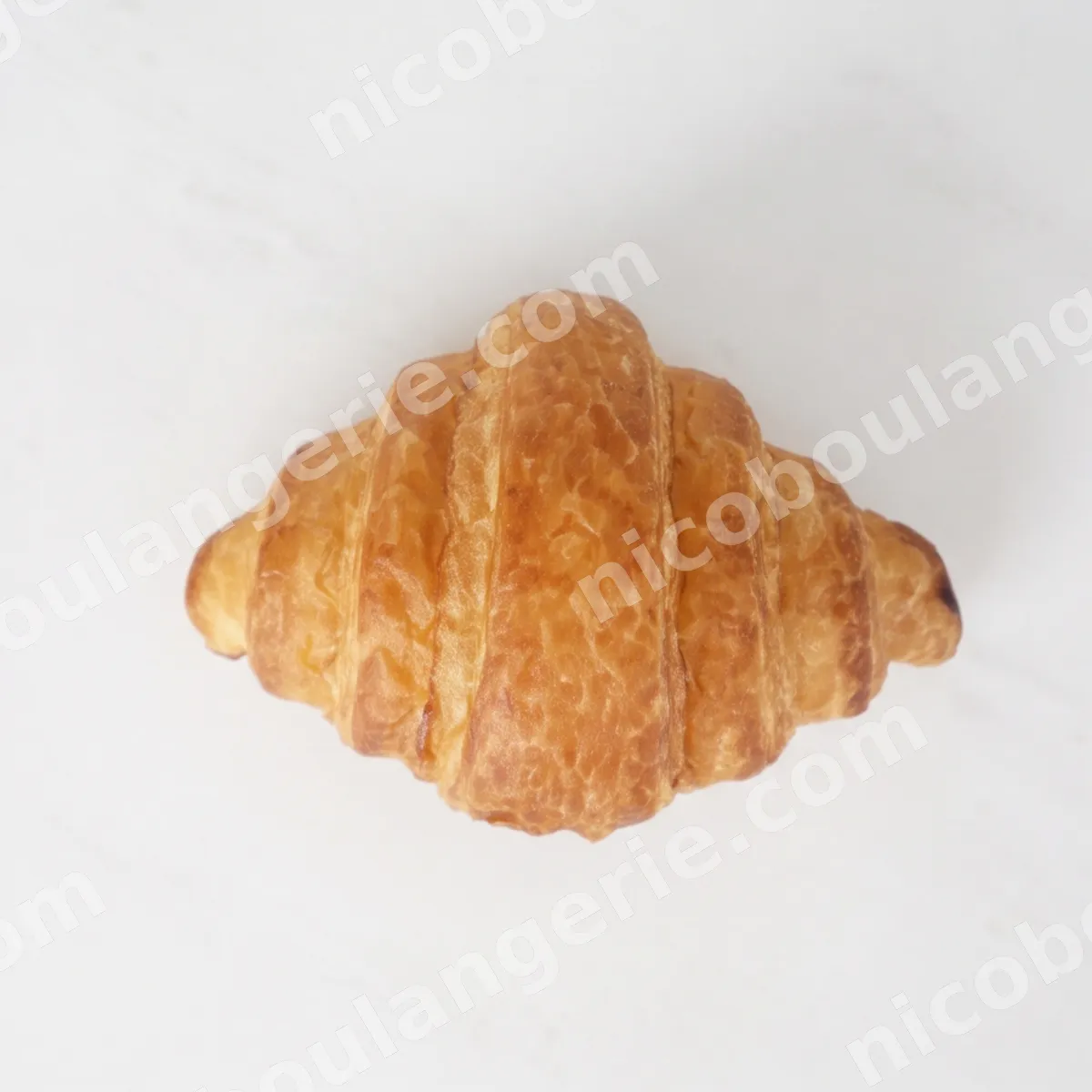 product_37_6ad0a314d2eb4.jpg