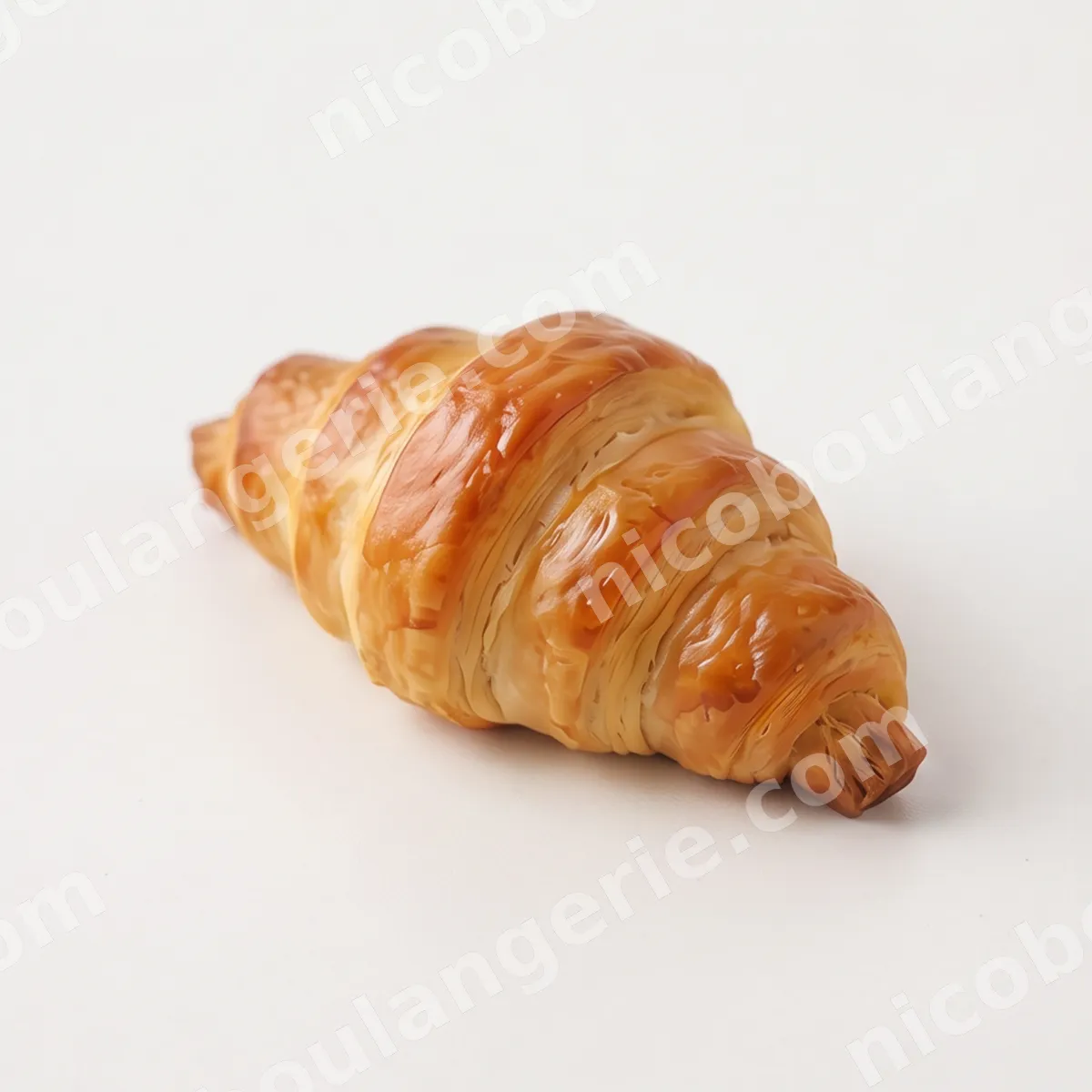 product_38_6ad0a41964d10.jpg