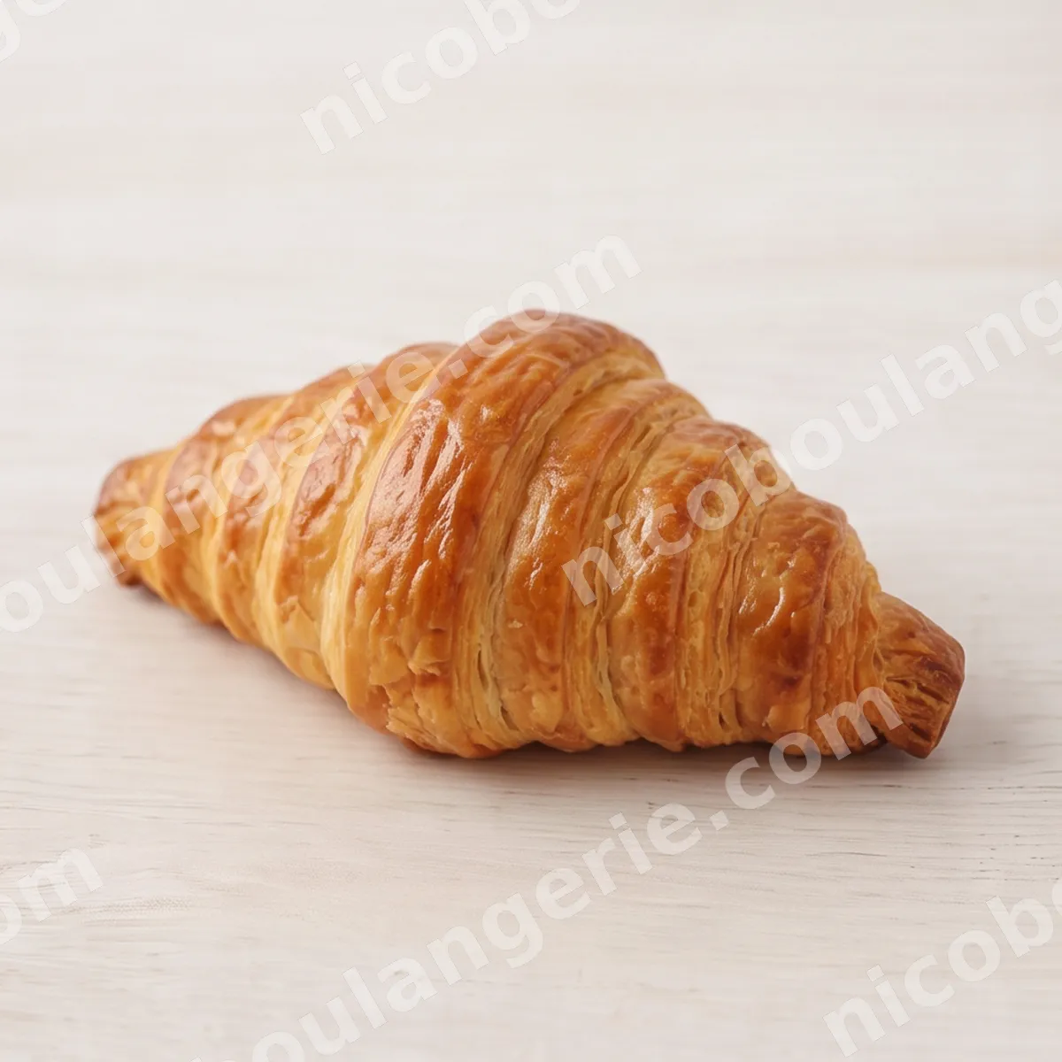 product_412_6ad09b0d70790.jpg