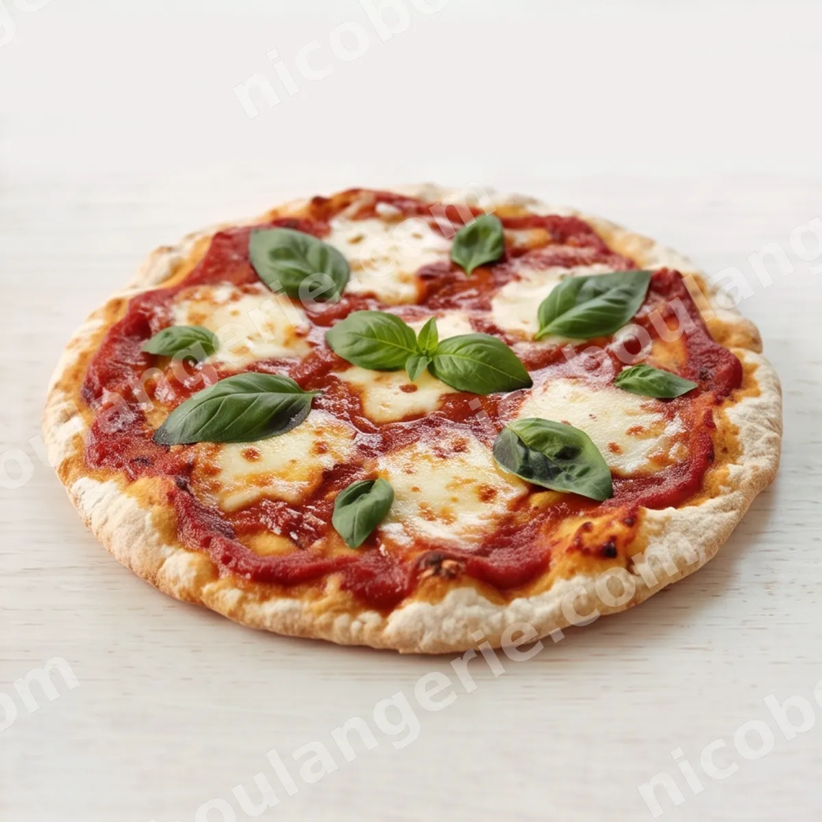 product_413_6ad33d82e2493.jpg