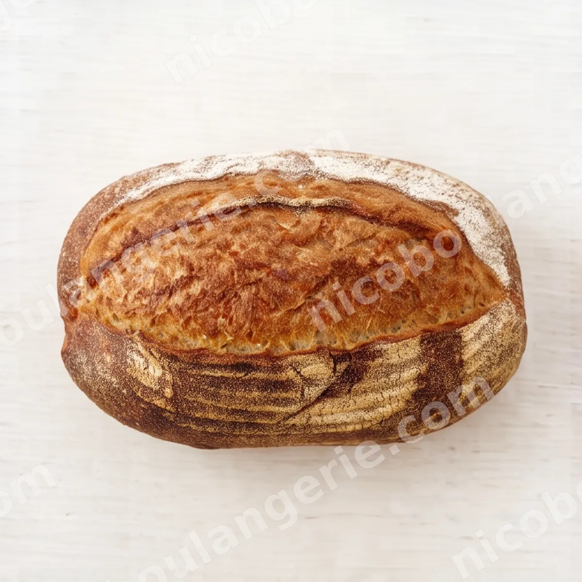 product_424_6ad5c8cd8aca4.jpg