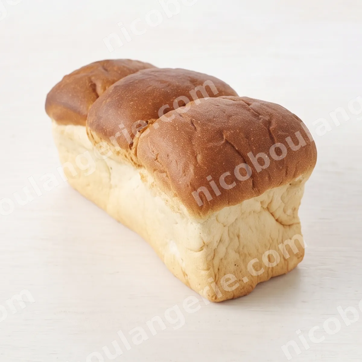 product_482_6ad5af3cb41d0.jpg