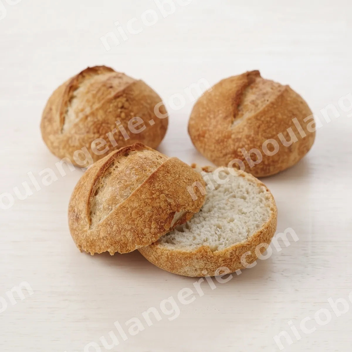product_486_6ad5d03c7f8eb.jpg