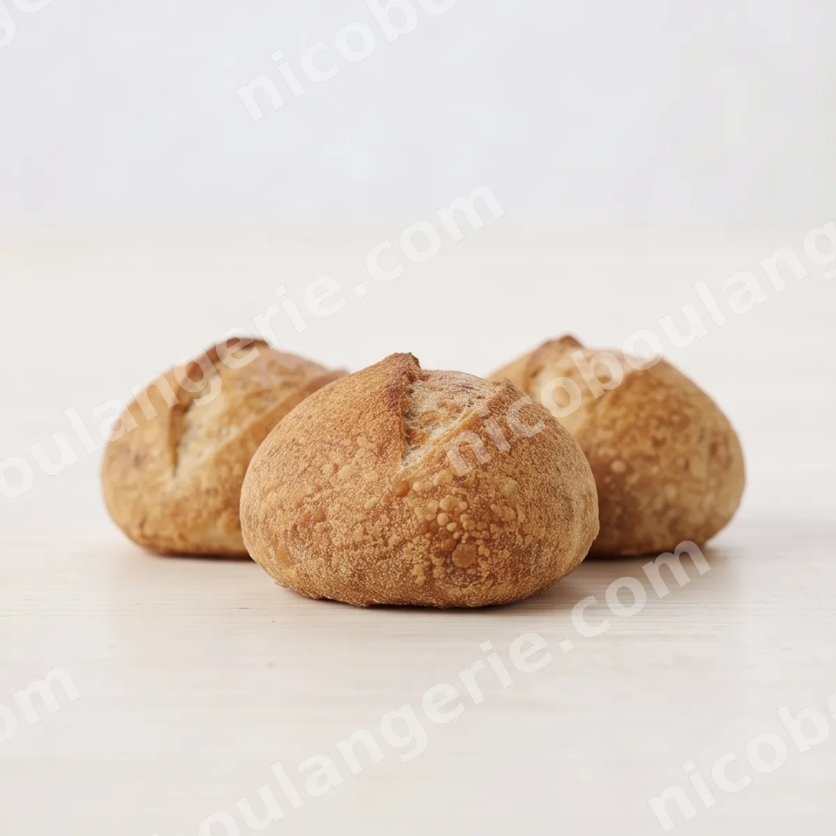 product_486_6ad5d03d716a3.jpg