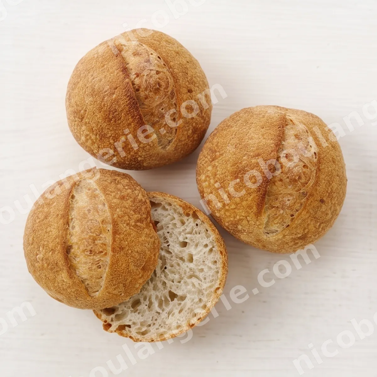 product_486_6ad5d03e5fd16.jpg