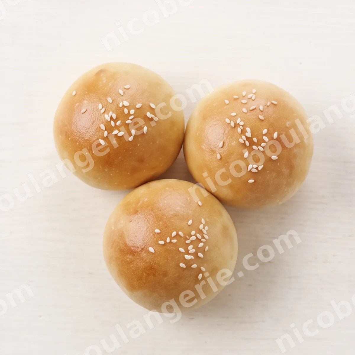 product_4_6acb84c934ee2.jpg