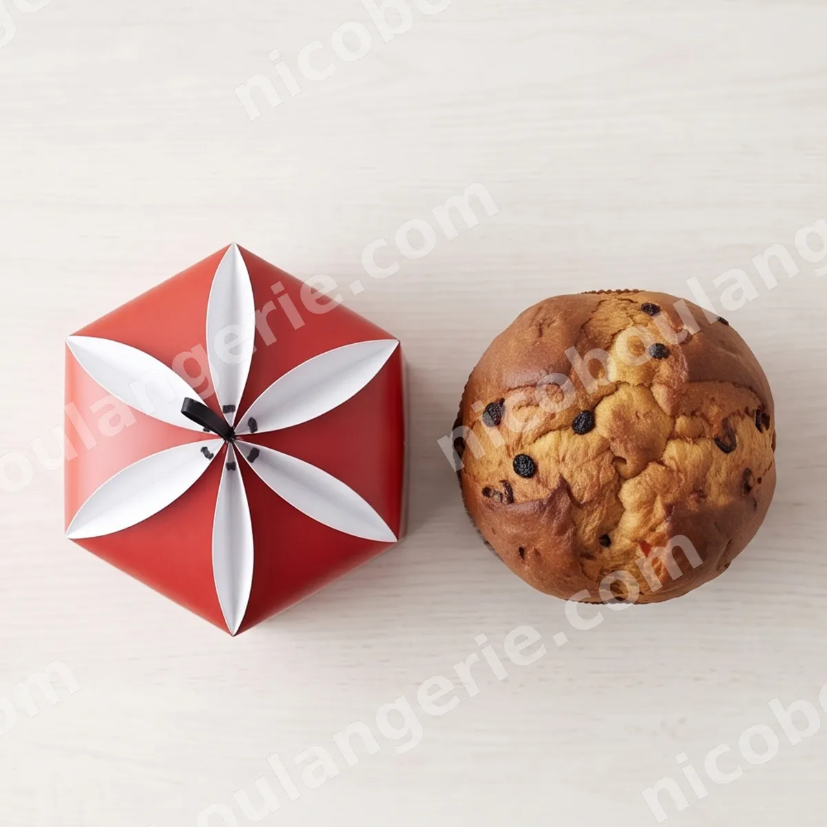 product_542_6ad970f436a9e.jpg